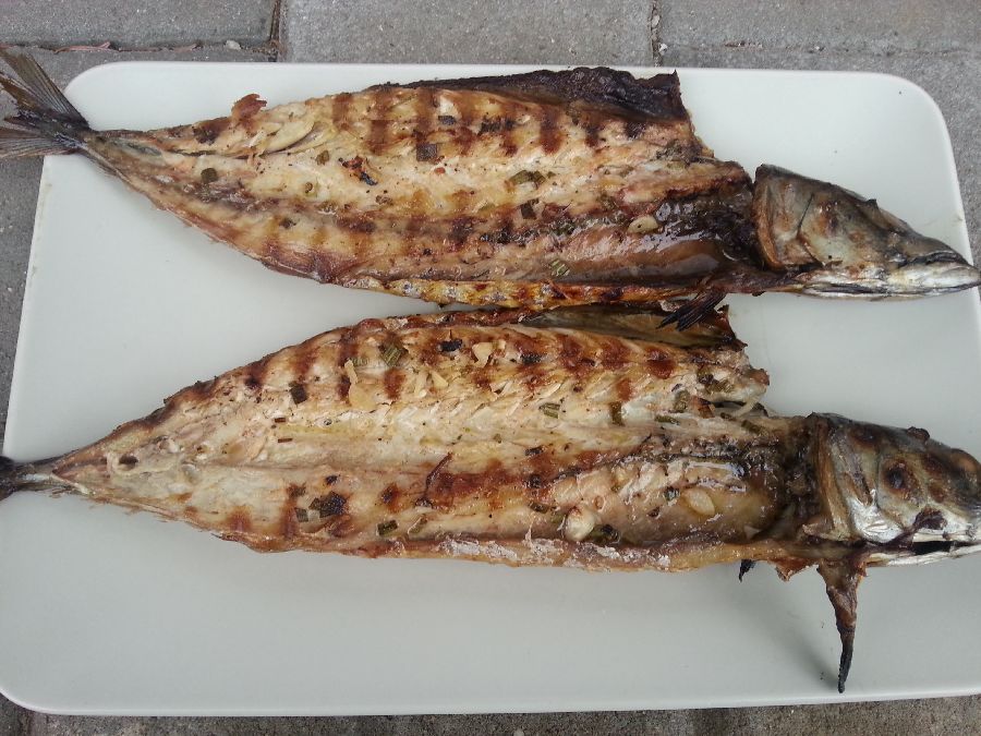 grilované makrely